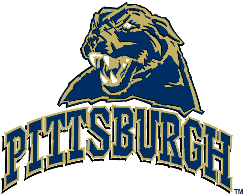 Pittsburgh Panthers 2005-2015 Alternate Logo diy DTF decal sticker